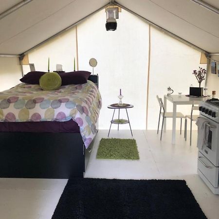 ホテル Vines And Puppies Glamping Hideaway Jade City エクステリア 写真