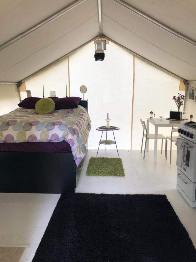 ホテル Vines And Puppies Glamping Hideaway Jade City エクステリア 写真